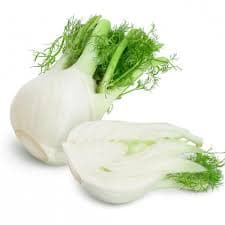 Fenouil