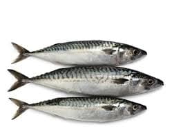 Chinchard Entier Pérou